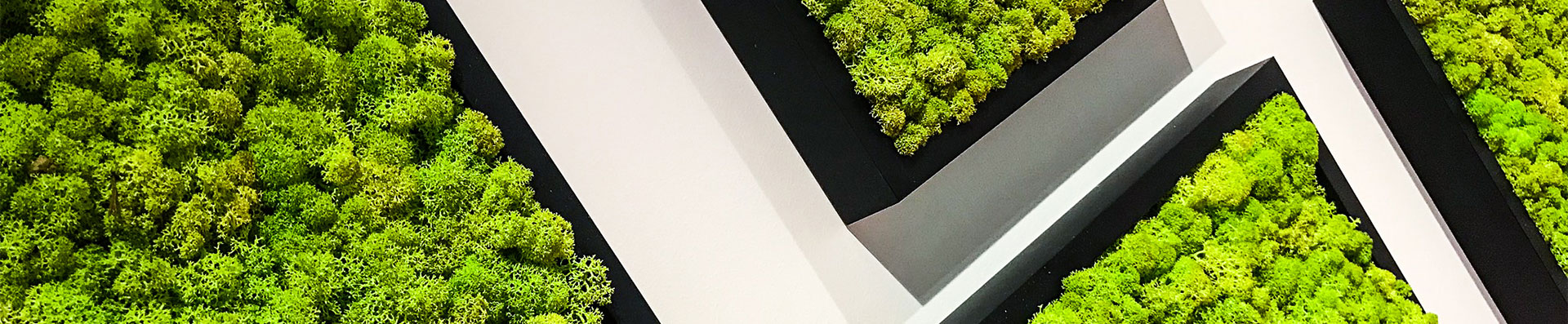 Overhead green space with trees